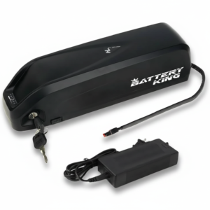 Hailong Downtube Battery 48V 13Ah