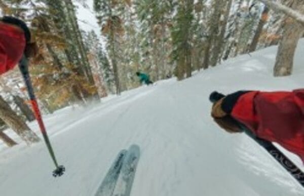 GoPro Chesty (Performance Chest Mount)