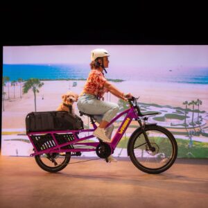 Yuba Spicy Curry Bosch Cargo eBike
