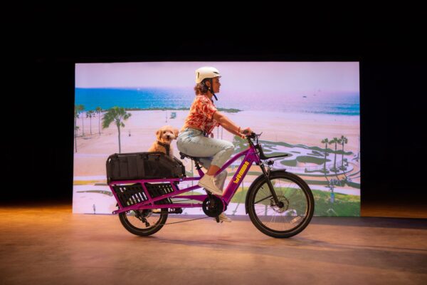 Yuba Spicy Curry Bosch Cargo eBike Yuba Spicy Curry Bosch Cargo eBike