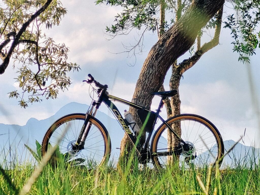 Mountain & trail