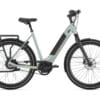 Gazelle Ultimate C380 thyme green