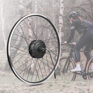 Bafang G370 250W Rear Hub Conversion Kit (29")